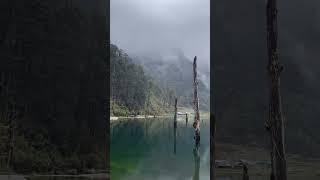 natural view