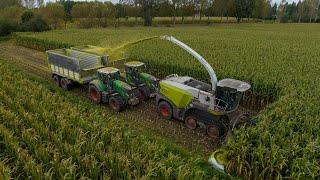 Claas Jaguar 990 Terra Trac | Maize 2023 | Jennissen | 6x Fendt