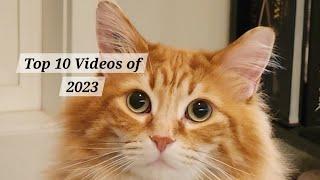  Walter's Top Ten Videos of 2023 