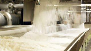 How It's Made: Sugar