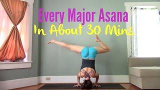 Hit Every Major Asana Group in About 30 Minutes - Vinyasa Flow Yoga Practice