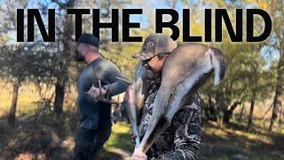 In the Blind: Texas Hog Hunting and the Truth About Wild Hogs