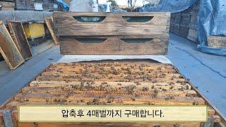 양봉 읽기 241109 종봉구입과 월동 소비 배열