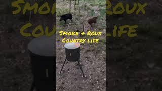 MEGA HOG / Wild Boar Hunting