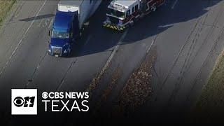 Chicken and alligator parts spill closes lanes of traffic on I-635