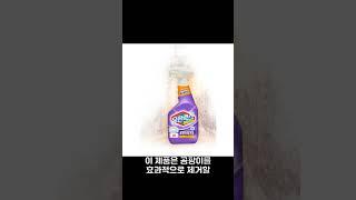 곰팡이 제거제로 쾌적한 공간 만들기