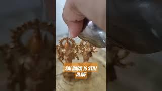 Sai Baba Is still alive#shots #shirdisaibaba #youtubeshorts #viral