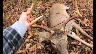 Mississippi River Bottom Public Land Hunt