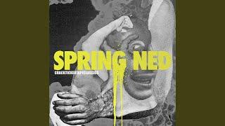 Spring Ned