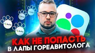 Продвижение на Авито. Как выявить горе-авитолога?