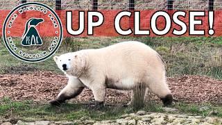 Peak WIldlife Park - INSANE Walk Through!