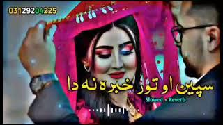 شاہ فاروق نوی سندرہ channel درہسرہ فولو کے 