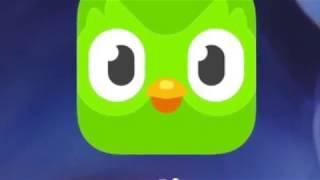 Duolingo   HD 720p