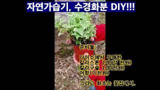 쿠리수 DIY 2탄. 수경화분 DIY. 다이소 제품으로 저렴하게 10분만에 수경화분 만들기^^ at Kurisue's home