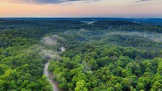 Amazon rainforest | Ecosystems