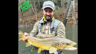 Mossy Creek Fly Fishing Forecast 12/9/2024