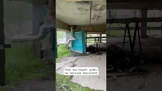 Дома на вечной мерзлоте в Якутии #якутия