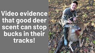 DEER HUNTING: HARVESTING BUCKS WITH JAMES VALLEY SCENTS