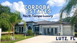 New construction homes in Tampa, Florida | Property tour!