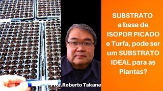 SUBSTRATO a base de ISOPOR PICADO e Turfa, pode ser um SUBSTRATO IDEAL para as Plantas?