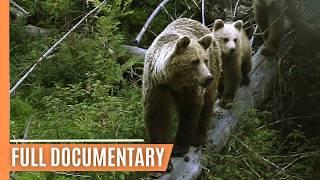 Exploring the Ancient Forests and Peaks of the Tatra Mountains | Full Documentary