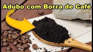 Adubo Orgânico com Borra de Café - COMO FAZER DA MANEIRA CERTA