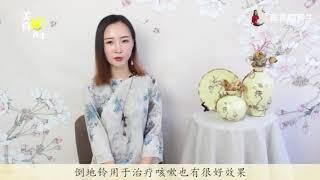 长湿疹时涂上一样东西，不仅祛除湿气，一点疤痕都不留！