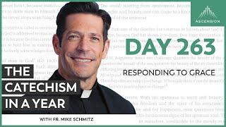 Day 263: Responding to Grace — The Catechism in a Year (with Fr. Mike Schmitz)