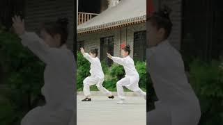 kung-fu short video  || kung-fu action video || #fight #action #karate #shorts #nbaction #kungfu