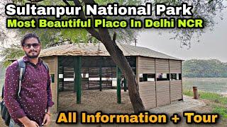 Sultanpur national park gurugram / Sultanpur Bird Sanctuary gurgaon - all Information & Tour