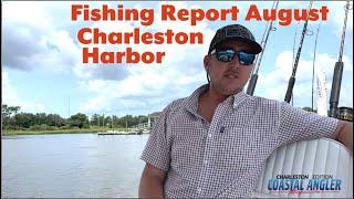 Fishing Report - Charleston Harbor for August - Capt Zach Litchfield at Port City Charters