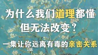 “道理都懂但没法改变”的最好解释｜一集让你远离有毒的亲密关系！为什么关系和体验比分析更重要？｜心理学｜精神分析｜回避型依恋｜亲密关系｜两性关系｜创伤迷恋｜