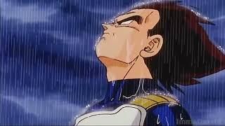 Vegeta in the rain 1Hour-Calming