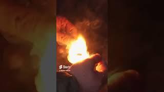  Копченая рыба. Охота и рыбалка в Сибири #крайнийсевер #янао #рекомендации