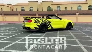 Mustang Shelby Rental Dubai |  Faster Rent A Car