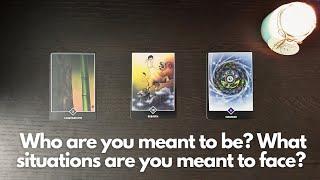 Hindi Tarot | What's your life purpose & soul journey? ️ TIMELESS Pick a card