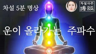 [차설명상]  나의 상처를 쓰다듬다  운을 올리는 차크라 