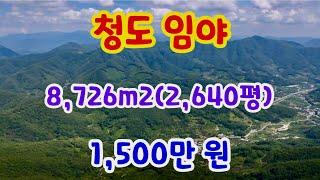 [162] 청도 임야매매 8,726m2(2,640평) 매매 금액 1,500만 원 해발 600m