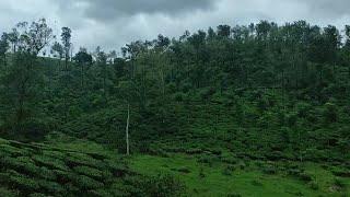 Through Vagamon in KSRTC bus, part C