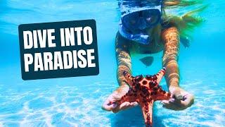 MALDIVES TOP 5 SNORKELING SPOTS You Can't Miss | Dive into Paradise #maldives #snorkeling