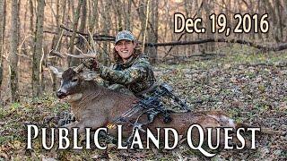 Public Land DIY Trophy - Buck Bedding Areas | Midwest Whitetail