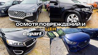 Покупка авто на Copart: Как не купить кота в мешке ?