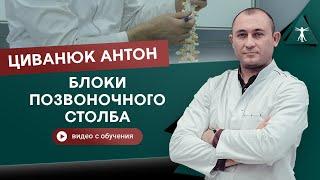 Краниосакральная терапия. Блоки позвоночного столба. Циванюк Антон