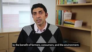 IFPRI’s Devesh Roy on India’s Pulses Sector