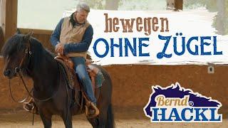 Bewegen ohne Zügel | Bernd Hackl erklärt! 