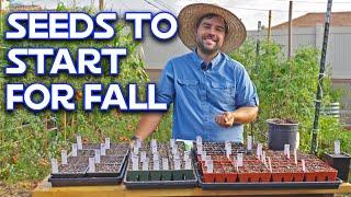 Why I Am Starting My Fall Garden NOW | Veggies, Herbs, & Flowers!