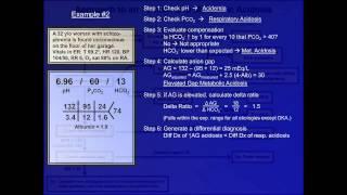 ABG Interpretation  A Grand Overview of Acid Base Analysis Lesson 13