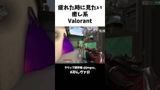 疲れた時に見たい!!癒し系Valorantといえばコレ #valorant #valorantclips #キル集