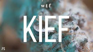 What is Kief? | WTF