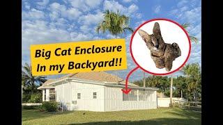 BUILDING A BIG CAT ENCLOSURE IN MT BACKYARD! (Getting a Pet Serval!!)